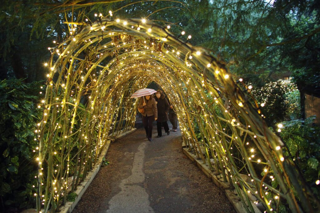 Christmas light trails in the UK, featuring illuminated trees, festive decorations, and enchanting winter landscapes, showcasing popular locations like Blenheim Palace, Waddesdon Manor, and RHS Wisley